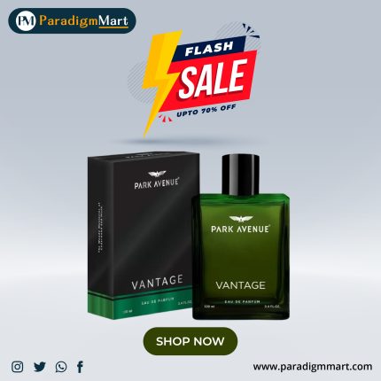 PARK AVENUE Luxury Perfume Vantage Eau de Parfum Eau de Parfum - 100 ml  (For Men)